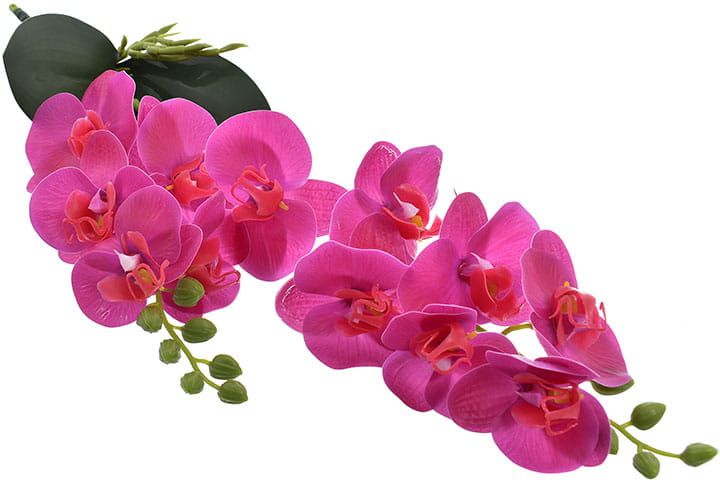 Storczyk orchidea gałązka dekoracja kwiat ozdoba