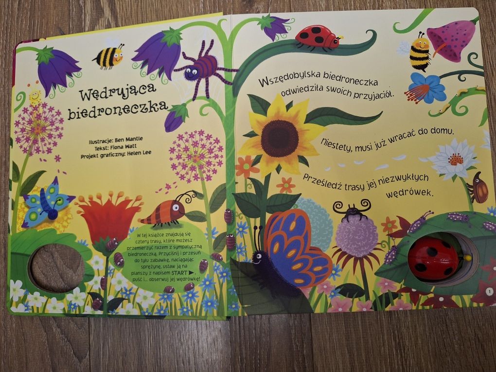 Książeczka Wędrującą biedroneczka biedronka 4 trasy