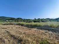 Terreno com 2900m2
