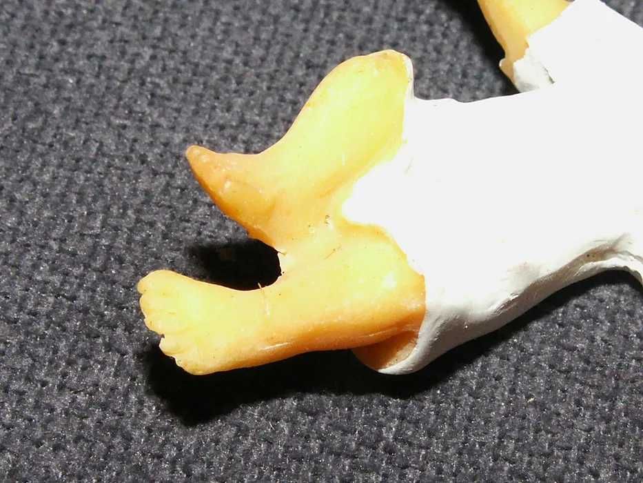 Jezusek  do figur 13-16 cm Dzieciątko  do szopki bożonarodzeniowej