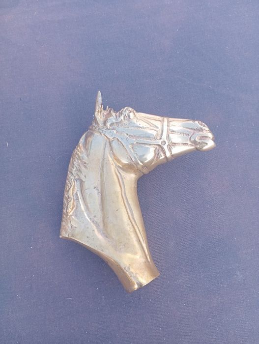 cabeça de cavalo