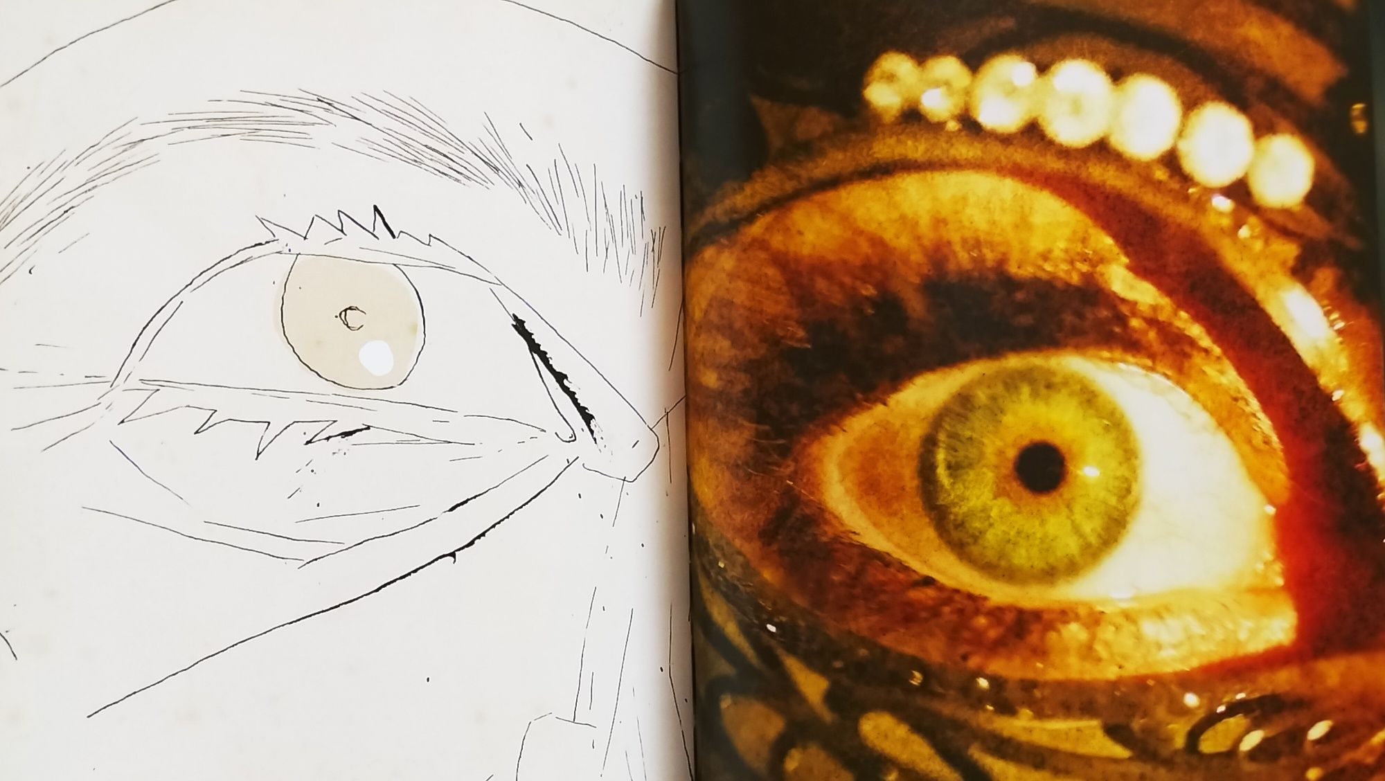 Livro Celluloid de Dave Mckean
