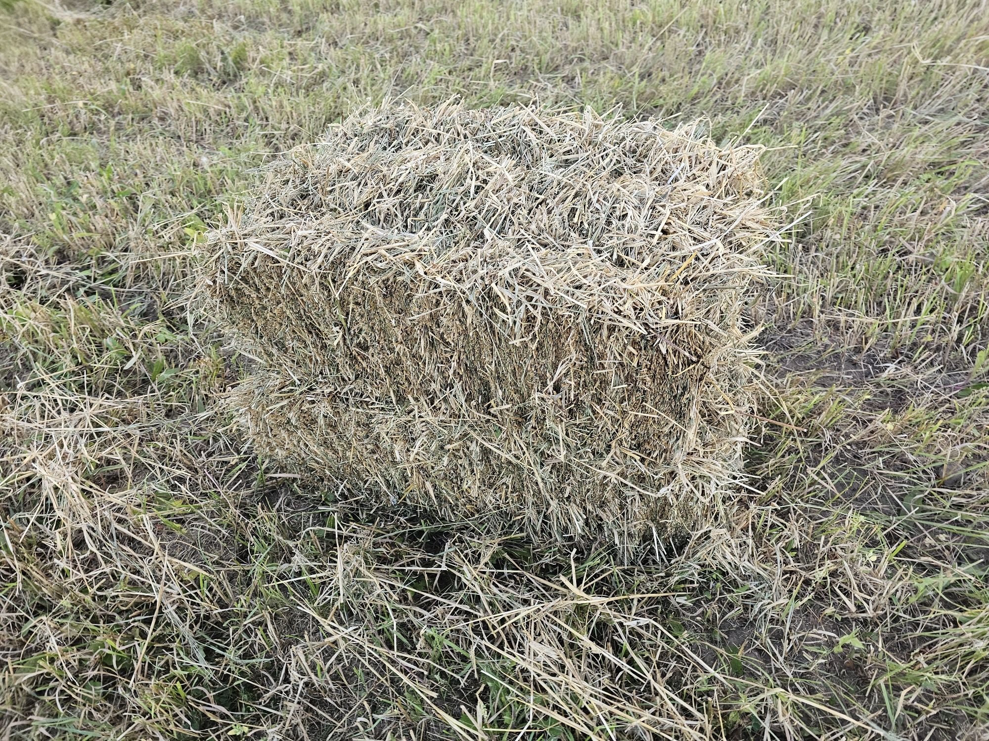 Тюки сіна та ячмінки