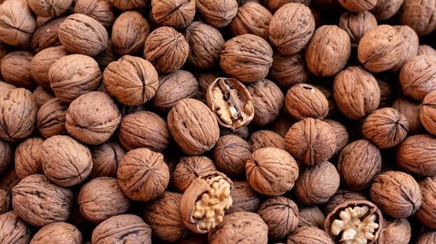 Орехи грецкие - 2025