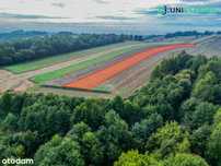 Budowlana | 20 km od Krakowa | Czułów