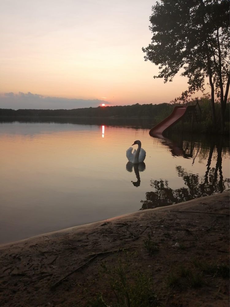 Pokoje nad jeziorem - Wilcze