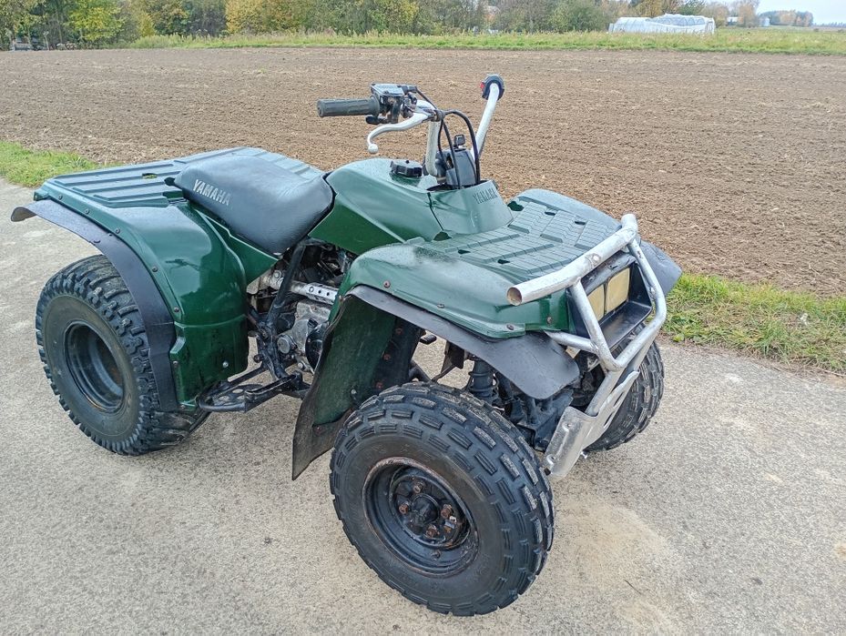 Quad Yamaha twimberwolf 250