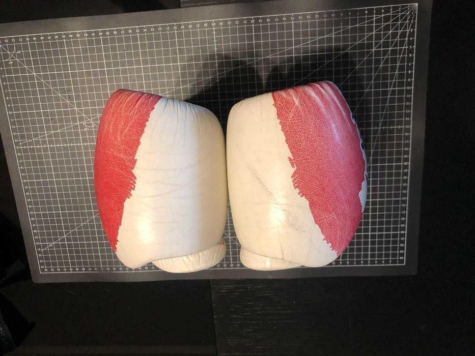 Luvas de Kickboxing e Muay Thai Fairtex