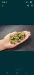 Legalny Susz Konopny cbd 1g