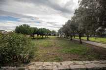 Moradia IsoladaT3 + 1 c/ Terreno na periferia de Cantanhede