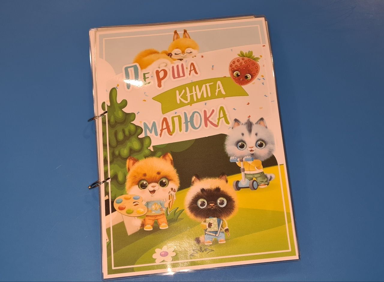 Гра на липучках "Перша книга малюка"