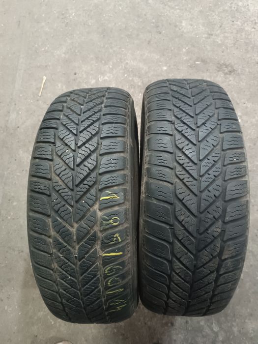 185/60R14 dwie opony zimowe Dębica