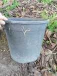 Vasos de plantas