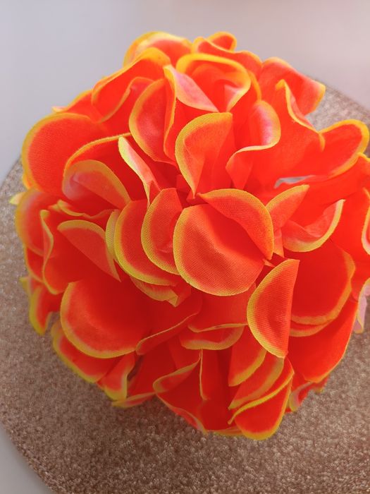 Łepki kwiatów xxxx