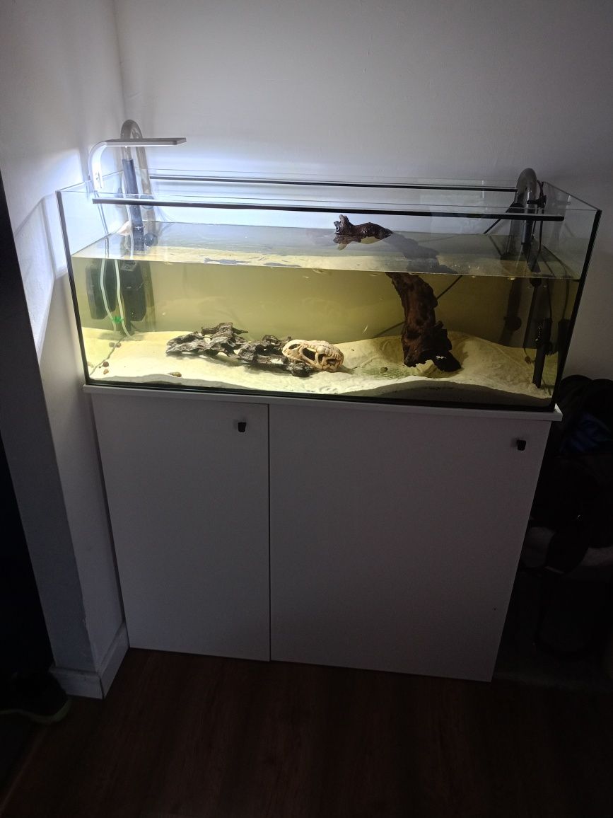 Akwarium proste 100l