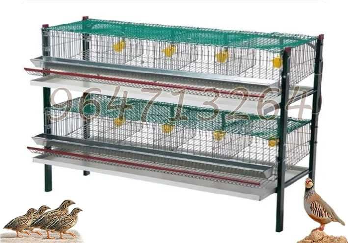 Jaula Bateria 32 Codornizes Reprodutoras (24 Fêmeas+8 Machos) 2 Pisos