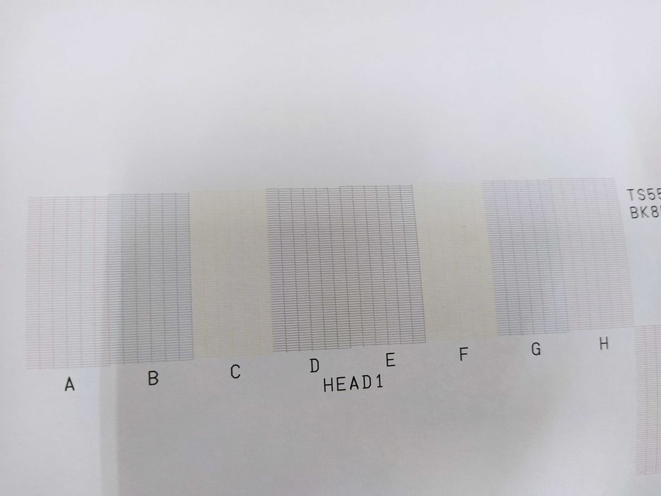 Impressora Mimaki TS55-1800 Sublimação