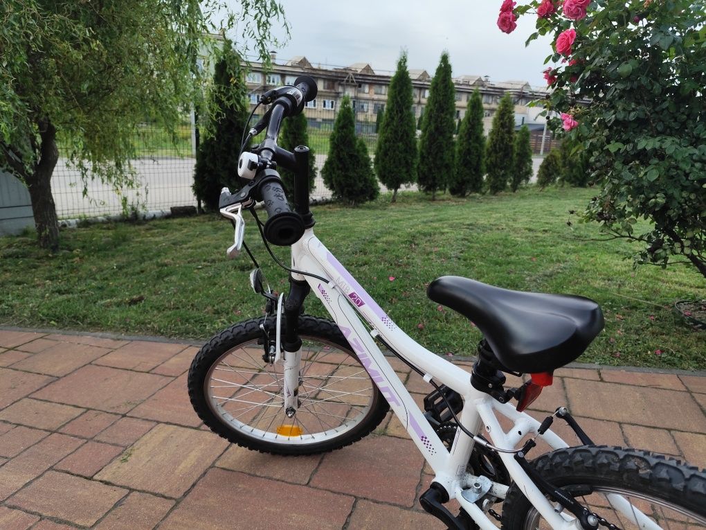Rower Azimut MTB 20