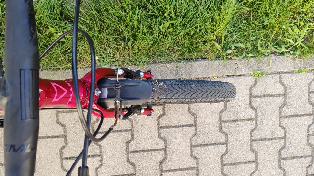 Rower Amulet Tomcat 20