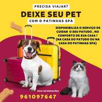 Hotel em casa (PetSitting)