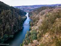 Terreno Misto (24 ha)  Rio Tâmega – Rio de Moinhos, Penafiel