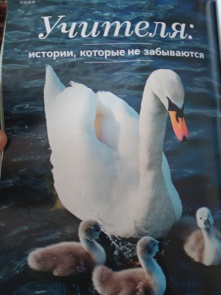 Православный журнал Фома