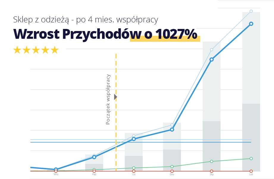 Kampania Google Ads AdWords - Reklama, Pozycjonowanie - Zyskaj 3500 zł