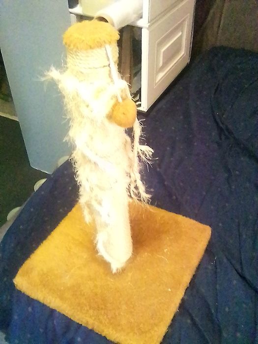 Когтеточка для котов