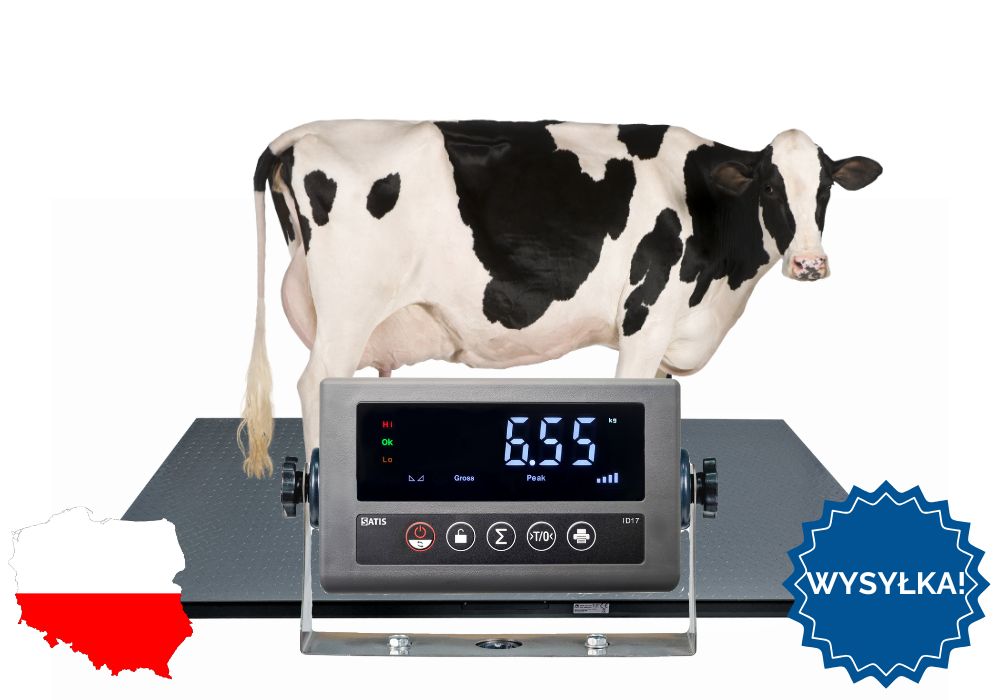 Waga inwentarzowa Do Zwierząt do 5000kg do krów świń 1,00x2,20 DOSTAWA