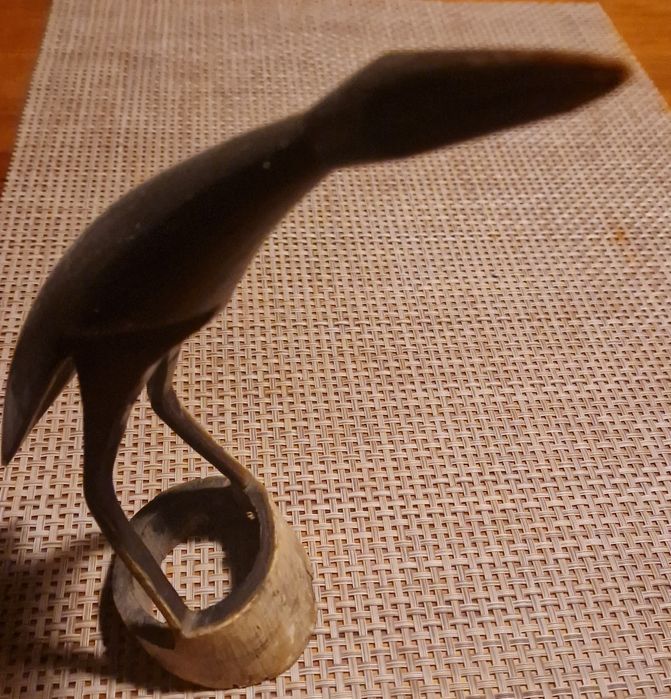 Corvo em dente de elefante