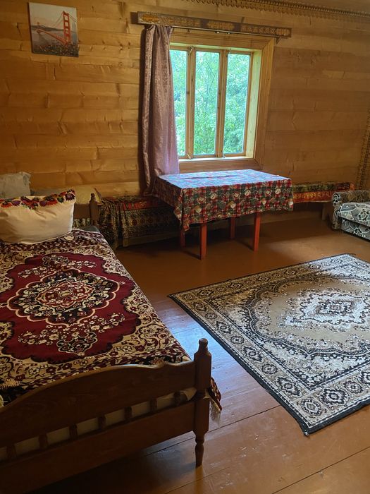 Оренда дому у Карпатах