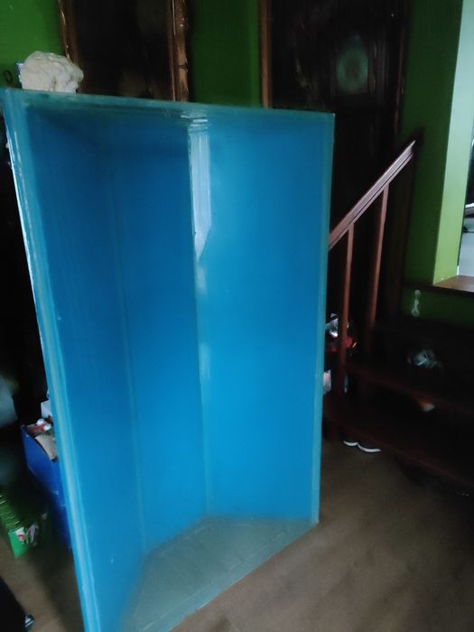 Akwarium oraz wapień Filipiński