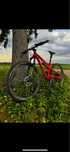 Rockrider xc 100 s
