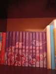 Серія книг романи.