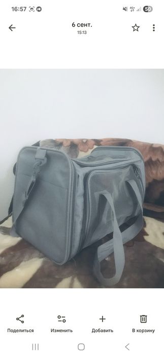 Переноска для котов