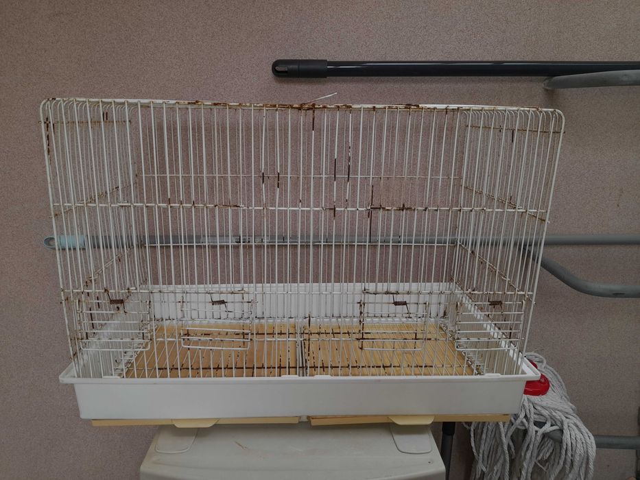 Gaiolas para pássaros