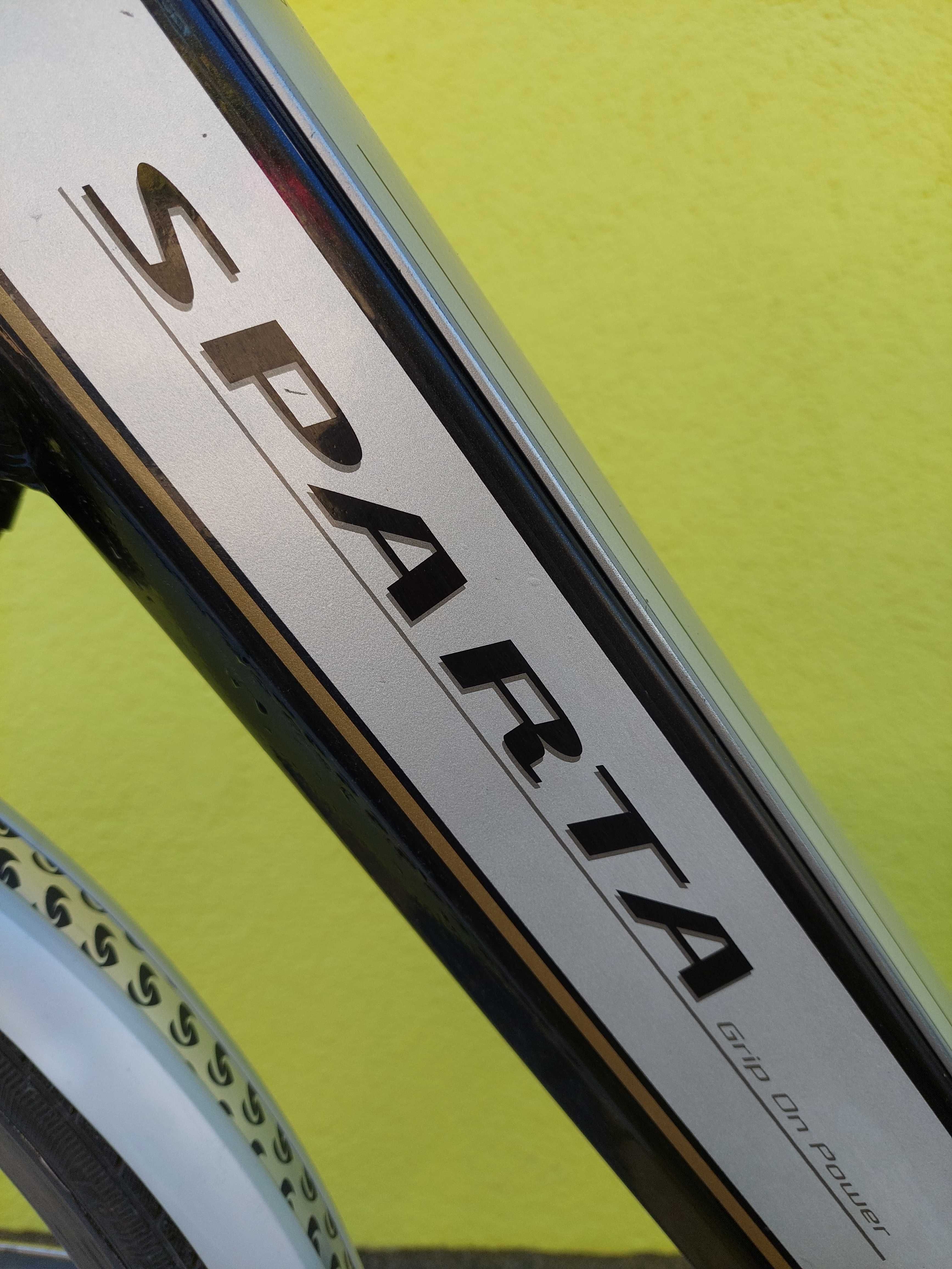 Rower ekektryczny uzywany , holenderskiej firmy Sparta .