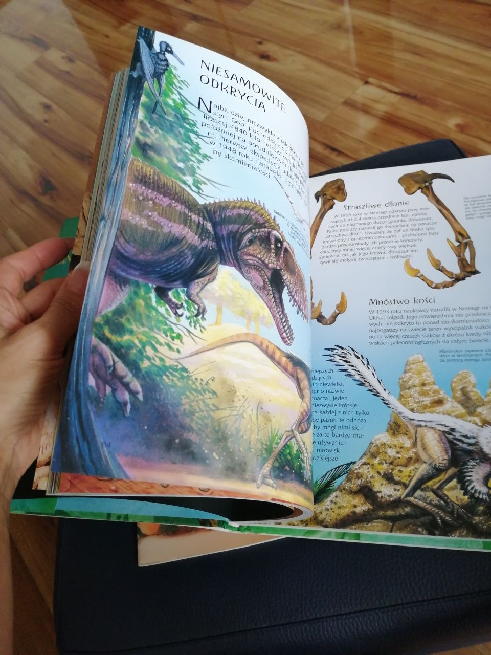 Ilustrowany atlas świata dinozaurów