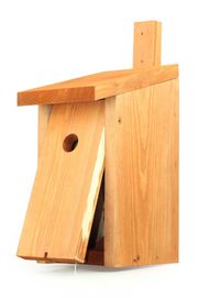 Budka lęgowa dla ptaków drewniana typ A i A1 skrzynka schron