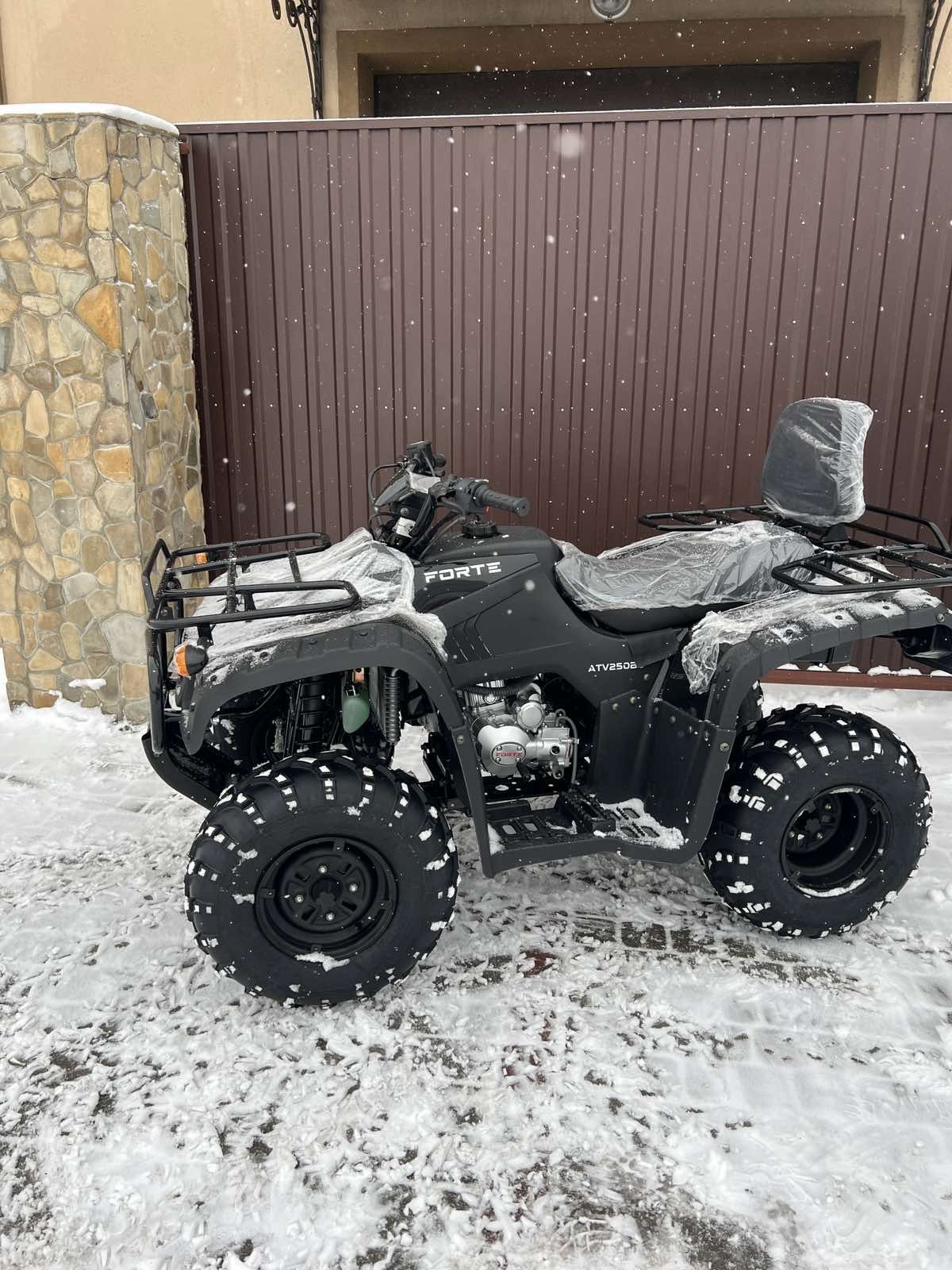 Квадроцикл Forte ATV250BS