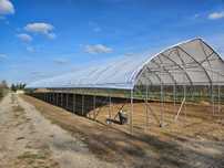 tunel foliowy 10 x 30 x 4.20 GOTYK