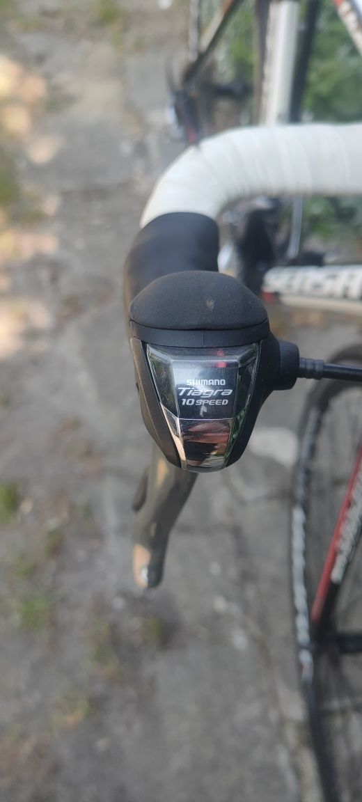 Szosa Sensa Umbria rama 56 Shimano Tiagra