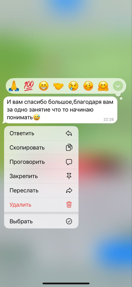 Репетитор польского языка без учебников