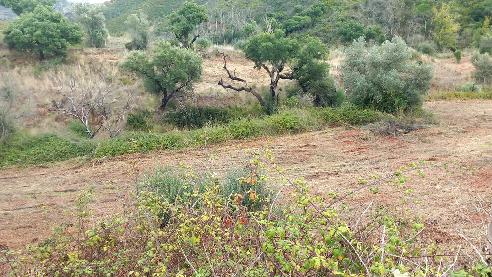 Quinta nos barris parque  natural com casas