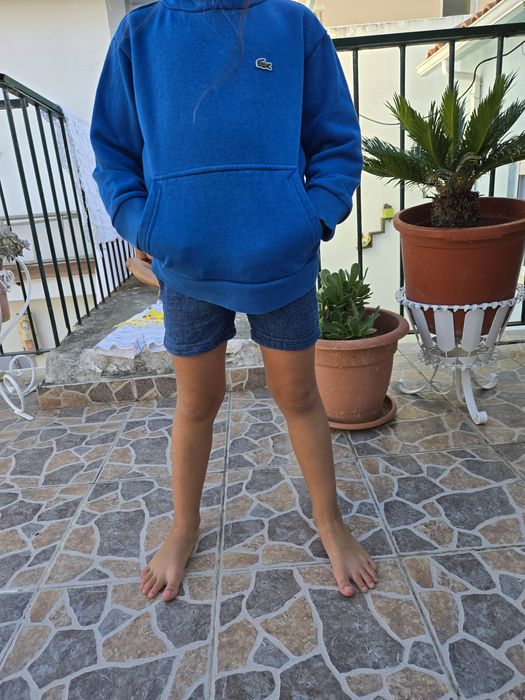 Camisola menino lacoste