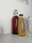 Scoby grzyb do kombuche
