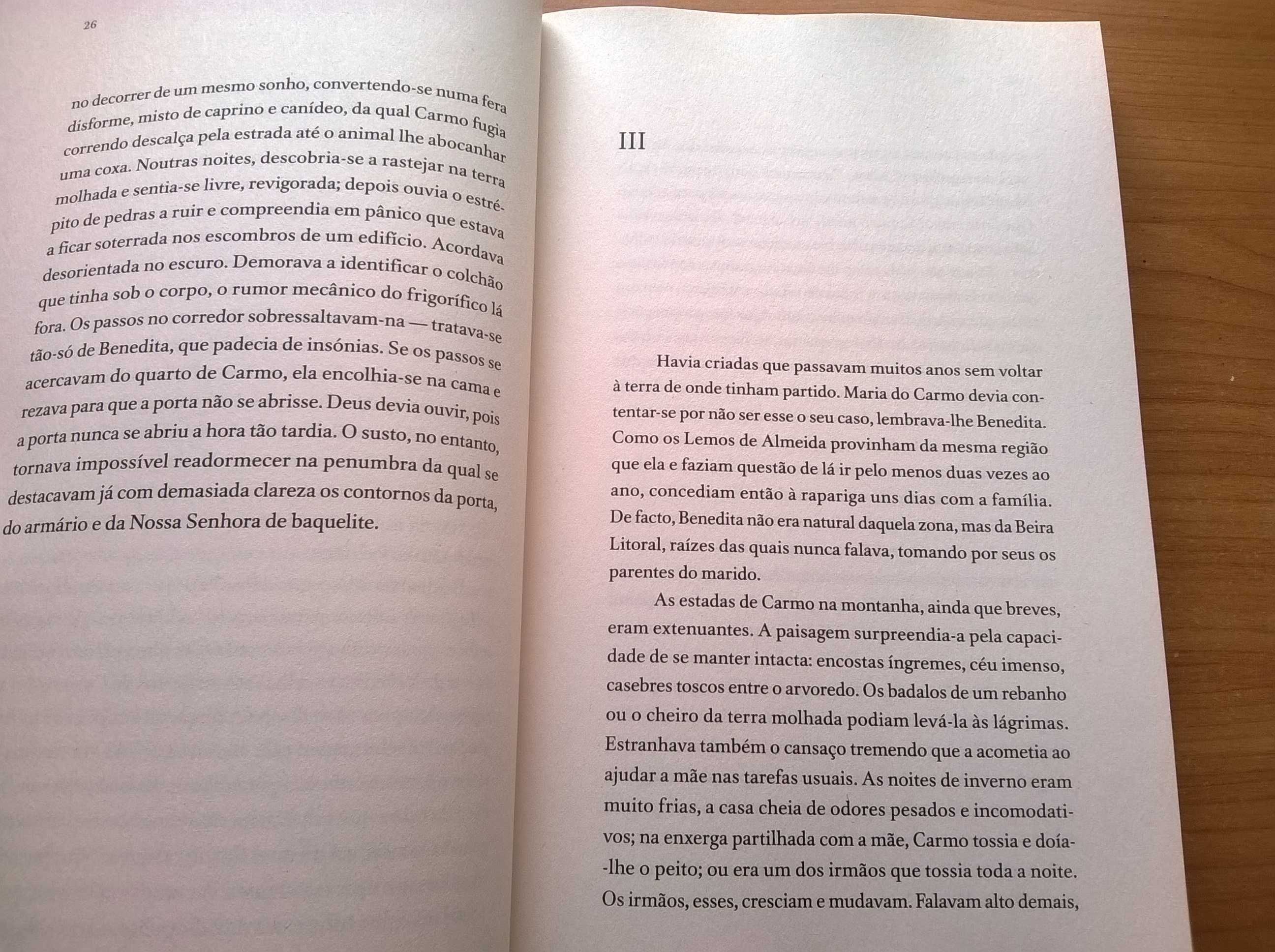 Na Terra dos Outros - (Romance de Estreia) Manuel Abrantes