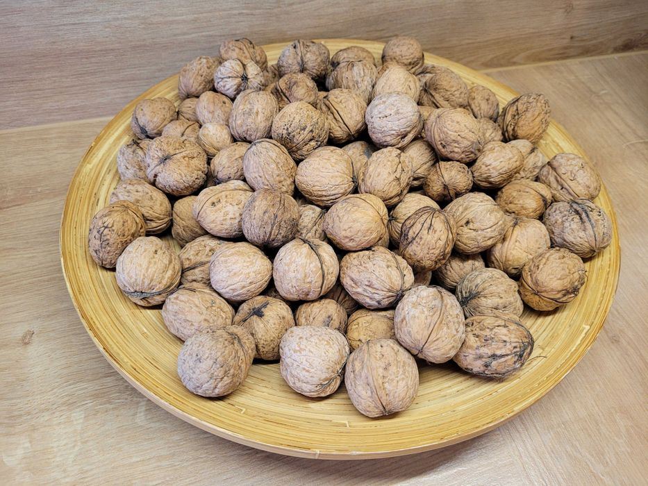 dodatki jesienne do szkoły / przedszkola kasztany ze skórką