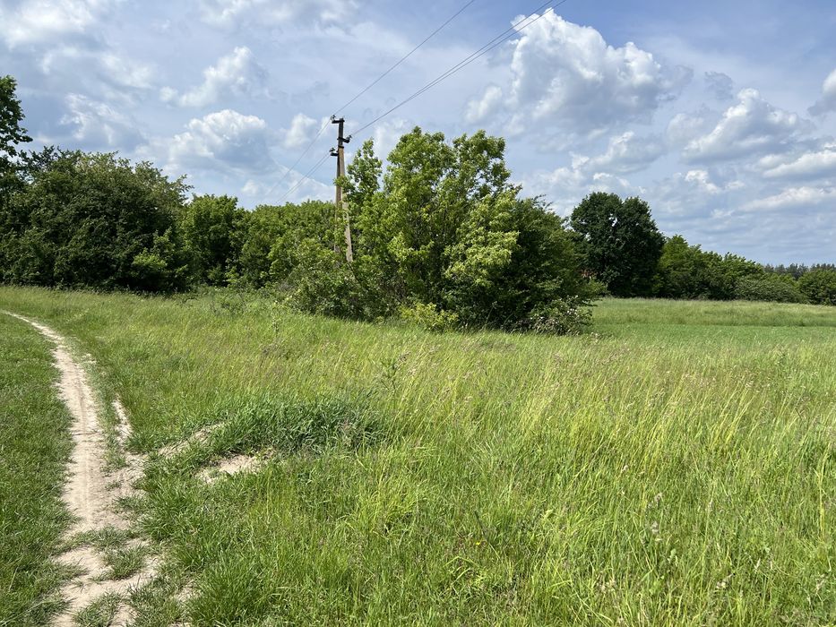 Ділянка 10 соток, с. Неграші