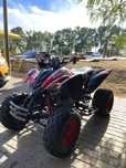 Yamaha Raptor 350